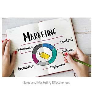 Sales and Marketing Effecttiveness
